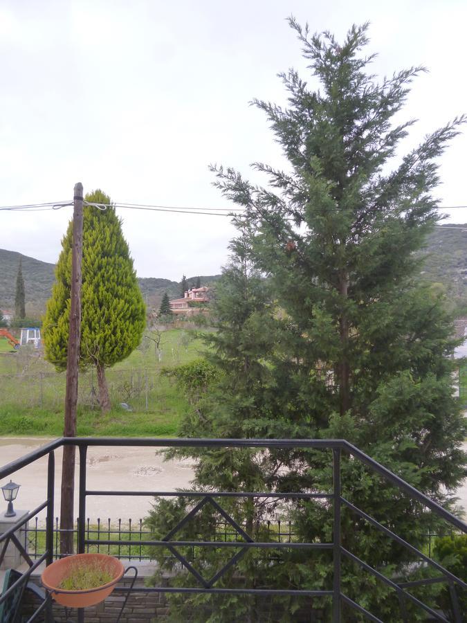 Dream House Appartement Nea Iraklitsa Buitenkant foto